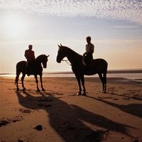 Horse-riders on Borkum's northern beach