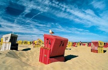 Langeoog: strandstoel met meeuw