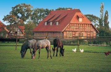 Boerderij met paarden